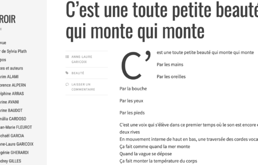 Textes pour la revue Miroir